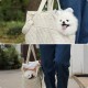 In stock hot-selling pet bag, handbag, cat bag, fashionable single shoulder dog crossbody bag, portable cat bag for going out, can show head bag